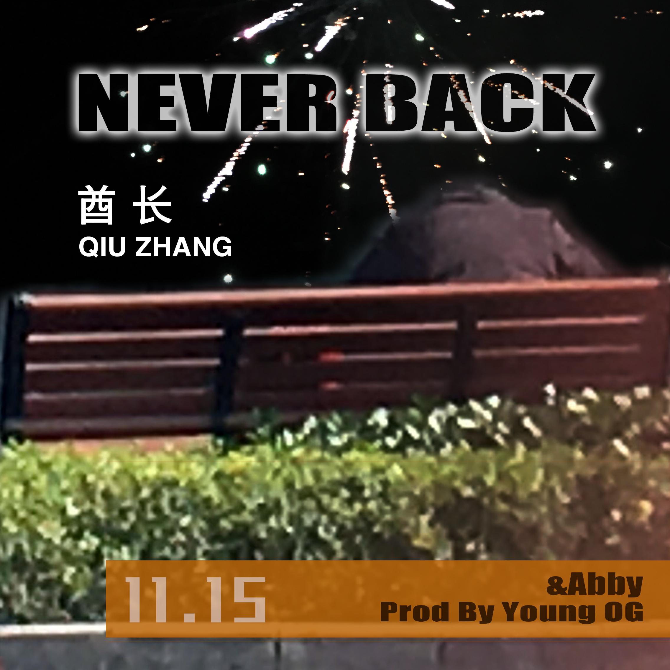 Never Back（Prod By Young OG）专辑