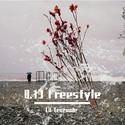 8.13 Freestyle