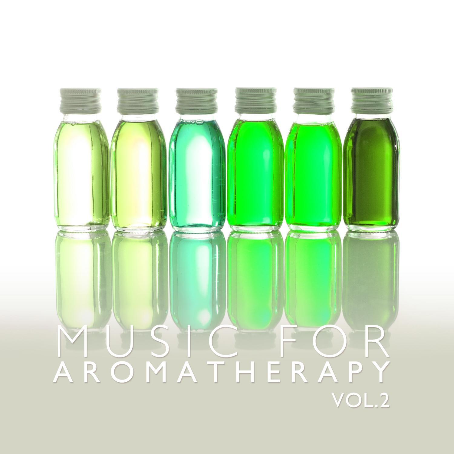 Music for Aromatheraphy Vol. 2专辑