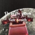 Fly to the moon