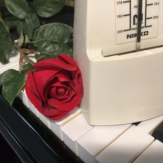 “慢一点 你错过的太多了”