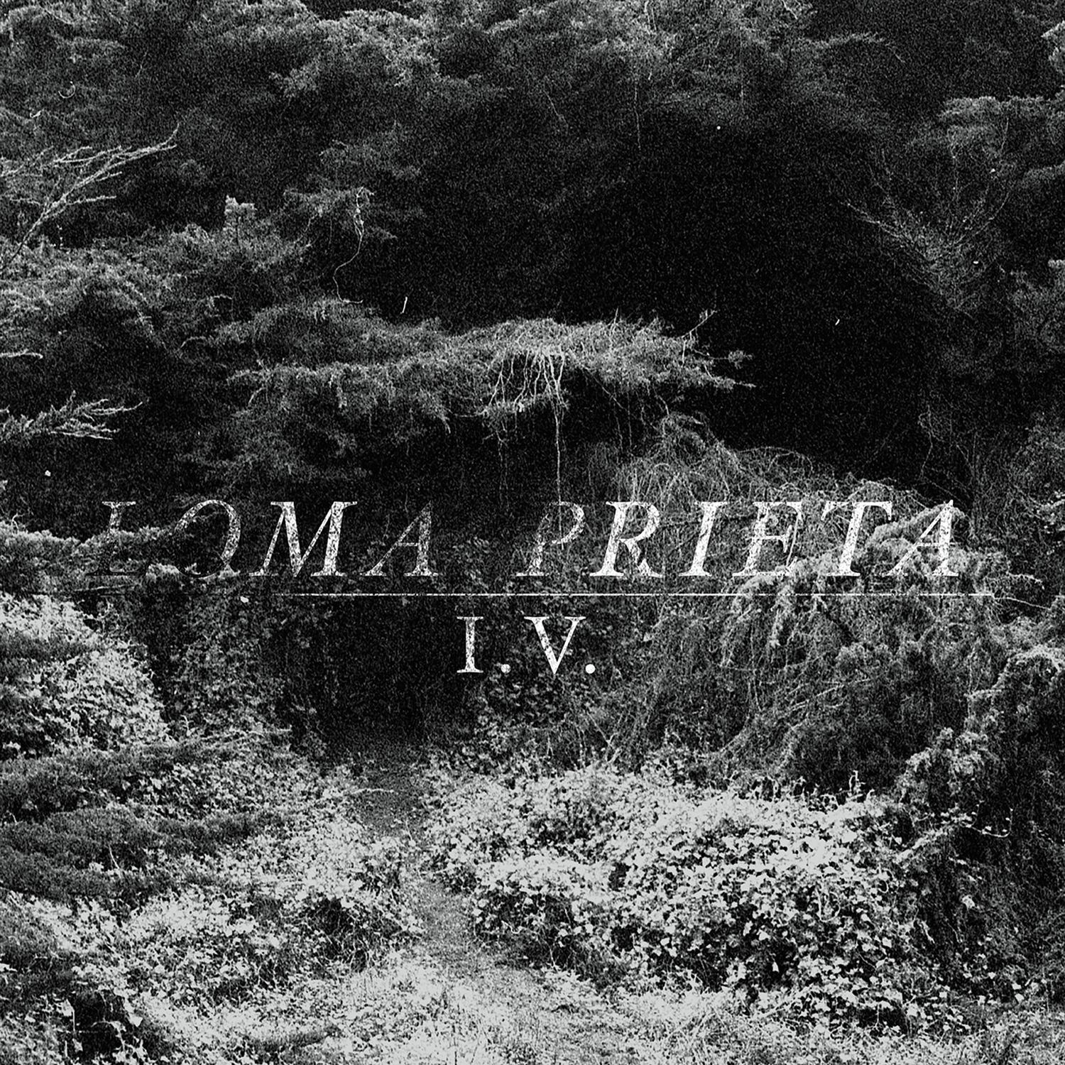 I.V.