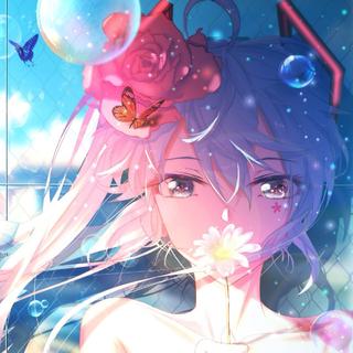 『日系』心动旋律 唯美音画的极致体验