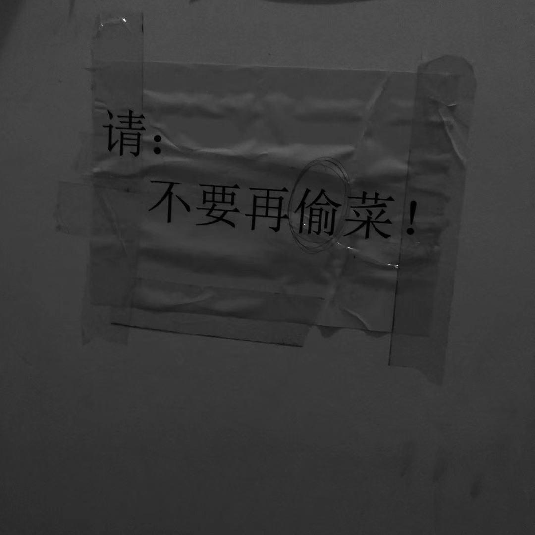 十科全书