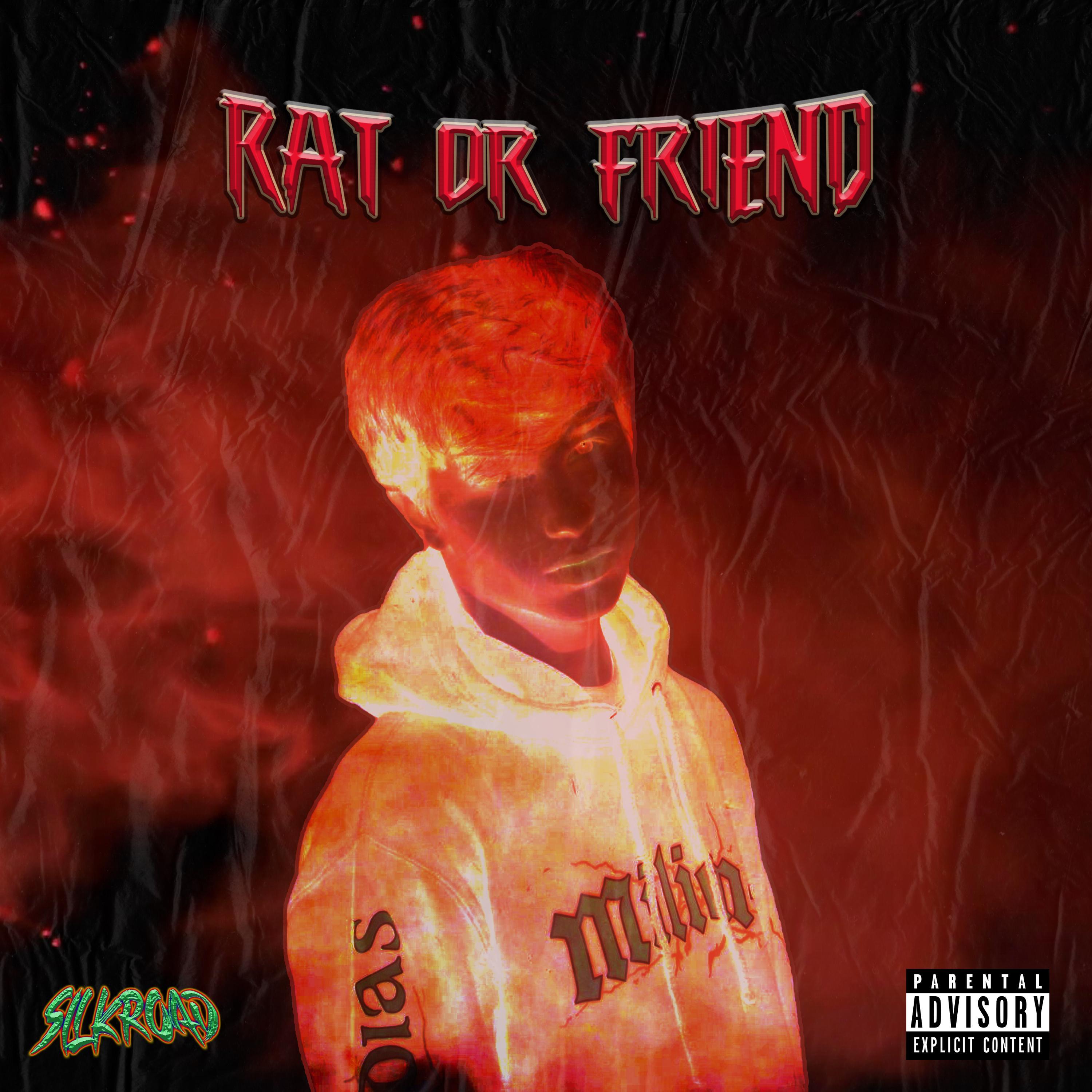 RAT OR FRIEND
