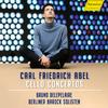 Bruno Delepelaire - Cello Concerto in B-Flat Major, WK 52:I. Moderato