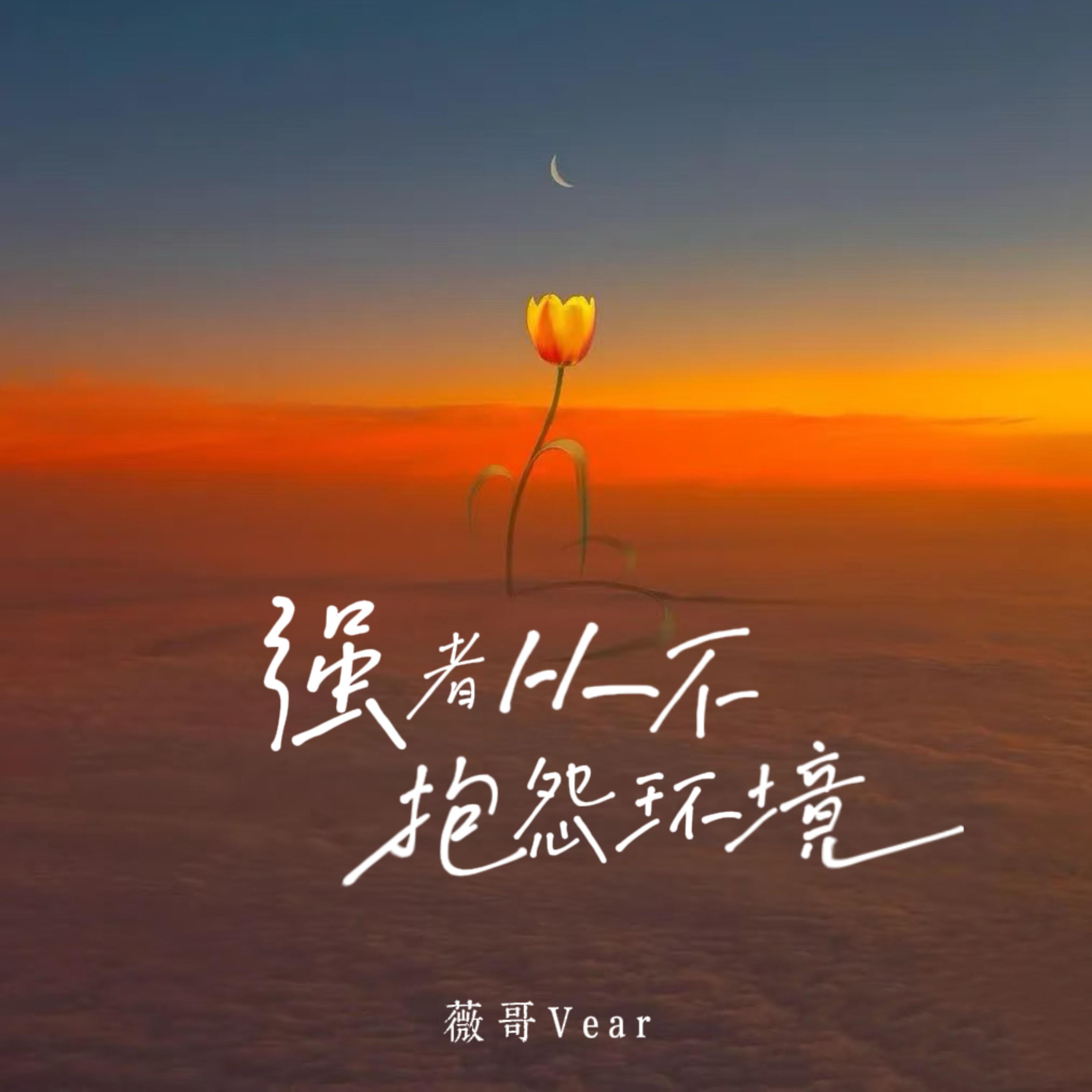 强者从不抱怨环境