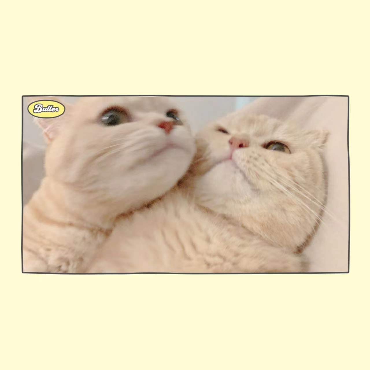 贴贴