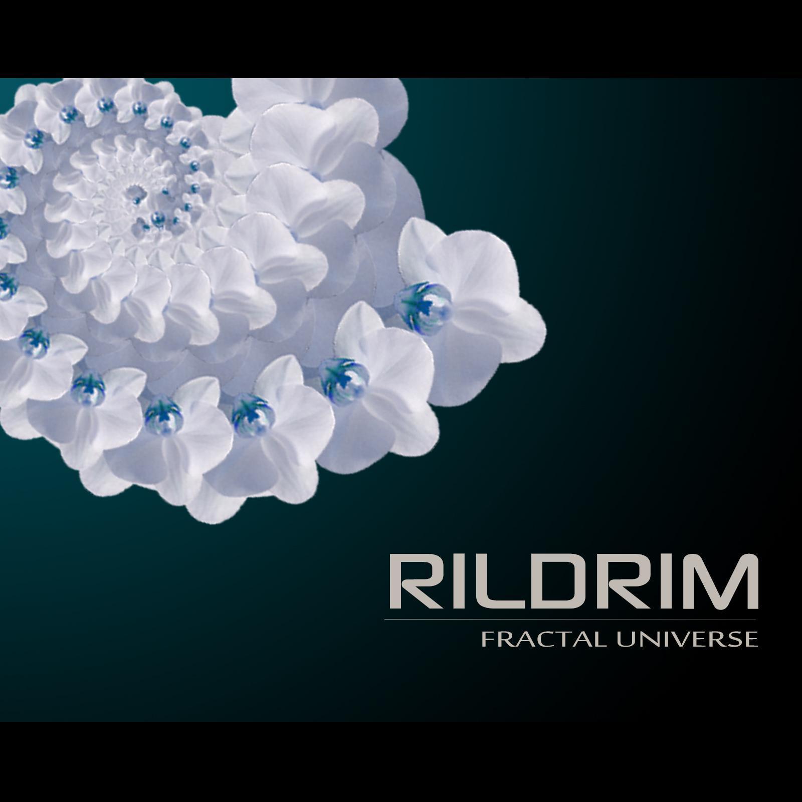 Fractal Universe