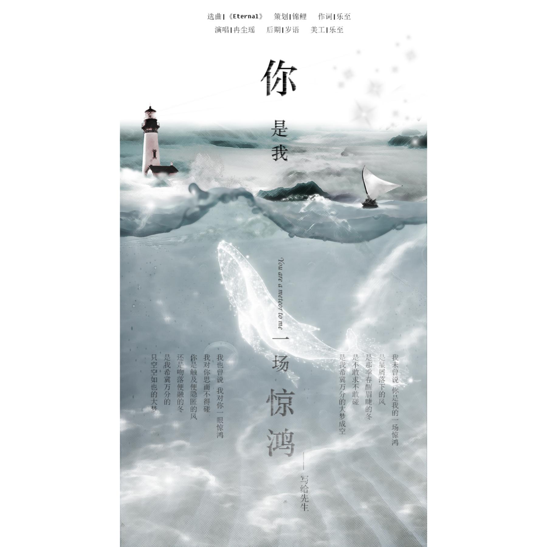 你是我一场惊鸿