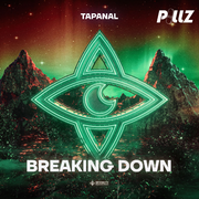 Breaking Down (Original Mix)