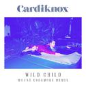Wild Child (Mount Cashmore Remix)专辑