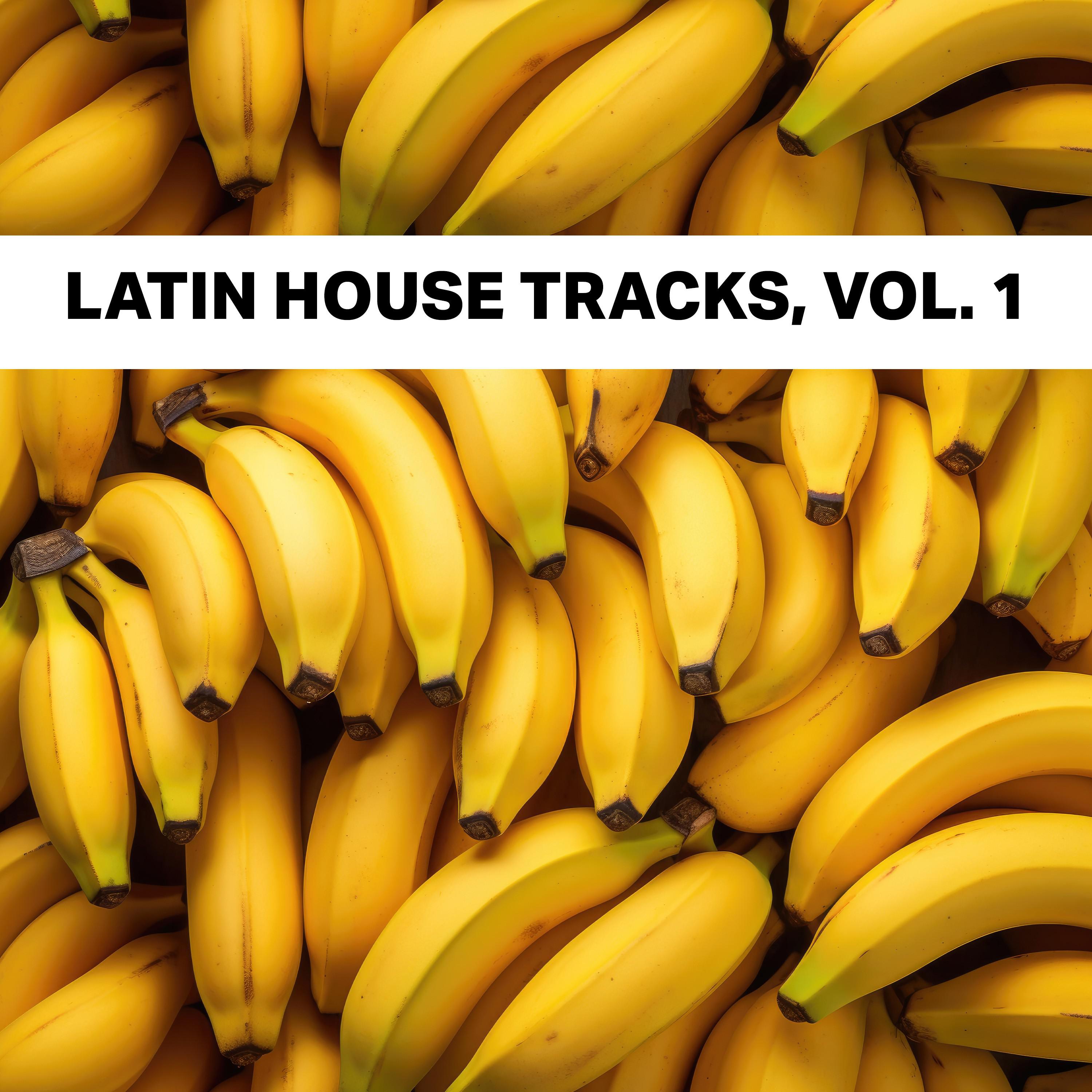 Clemens Rumpf - Latin Soul (Latin House Edit)