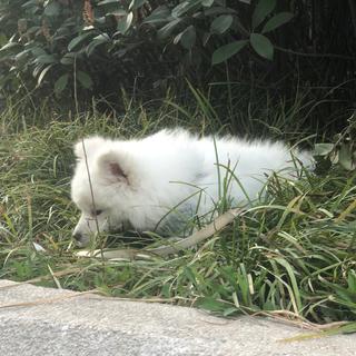 欧美范摇滚每日必听