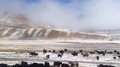 神圣雪山专辑