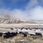 神圣雪山专辑