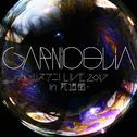 GARNiDELiA ～リスアニ！LIVE 2017 in 武道館～专辑