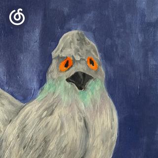 韩国摇滚精选|从《비둘기》听起