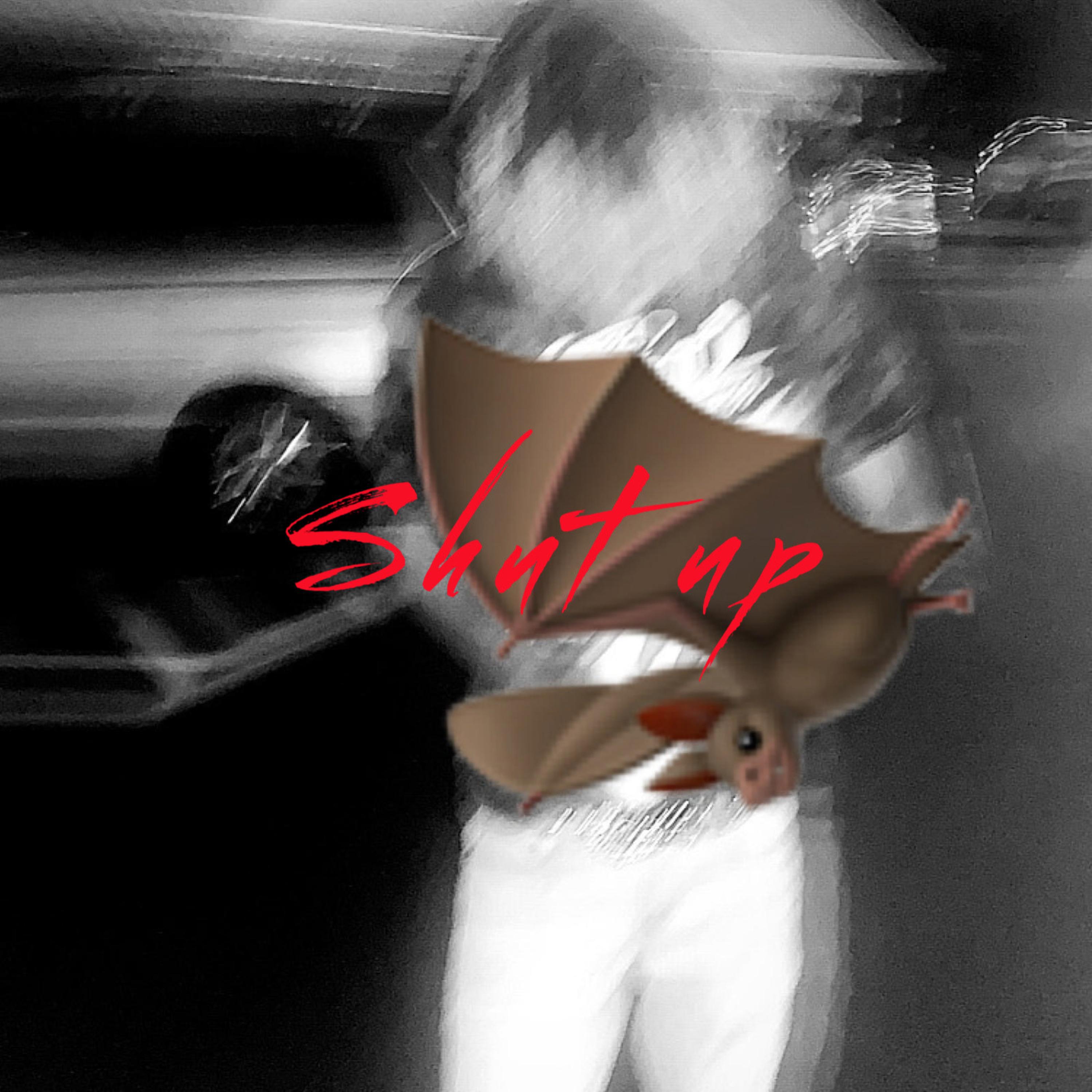 vvsmoon - Shut up