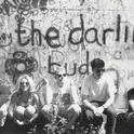 The Darling Buds