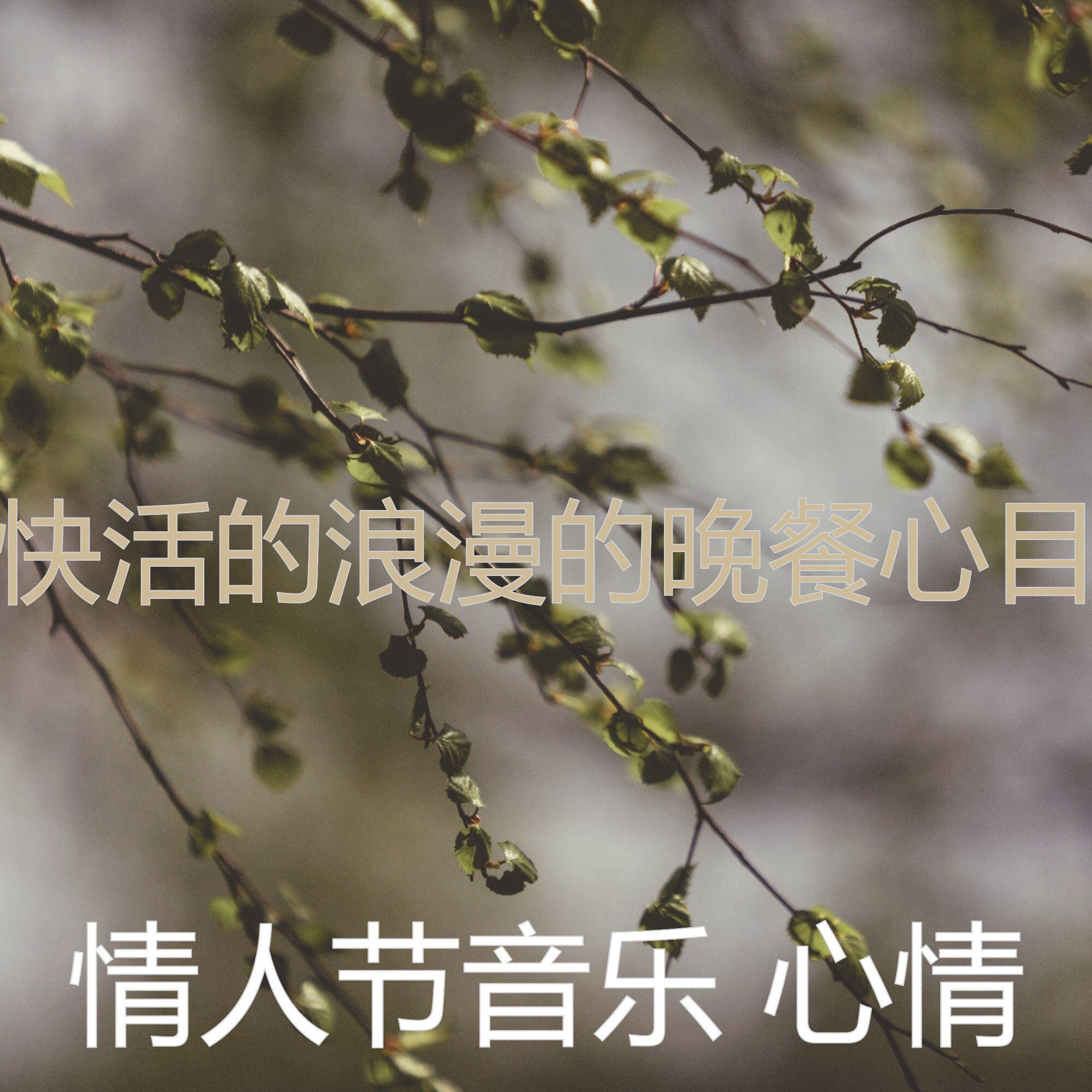 情人节音乐 心情 - 抚慰的情人节约会回忆