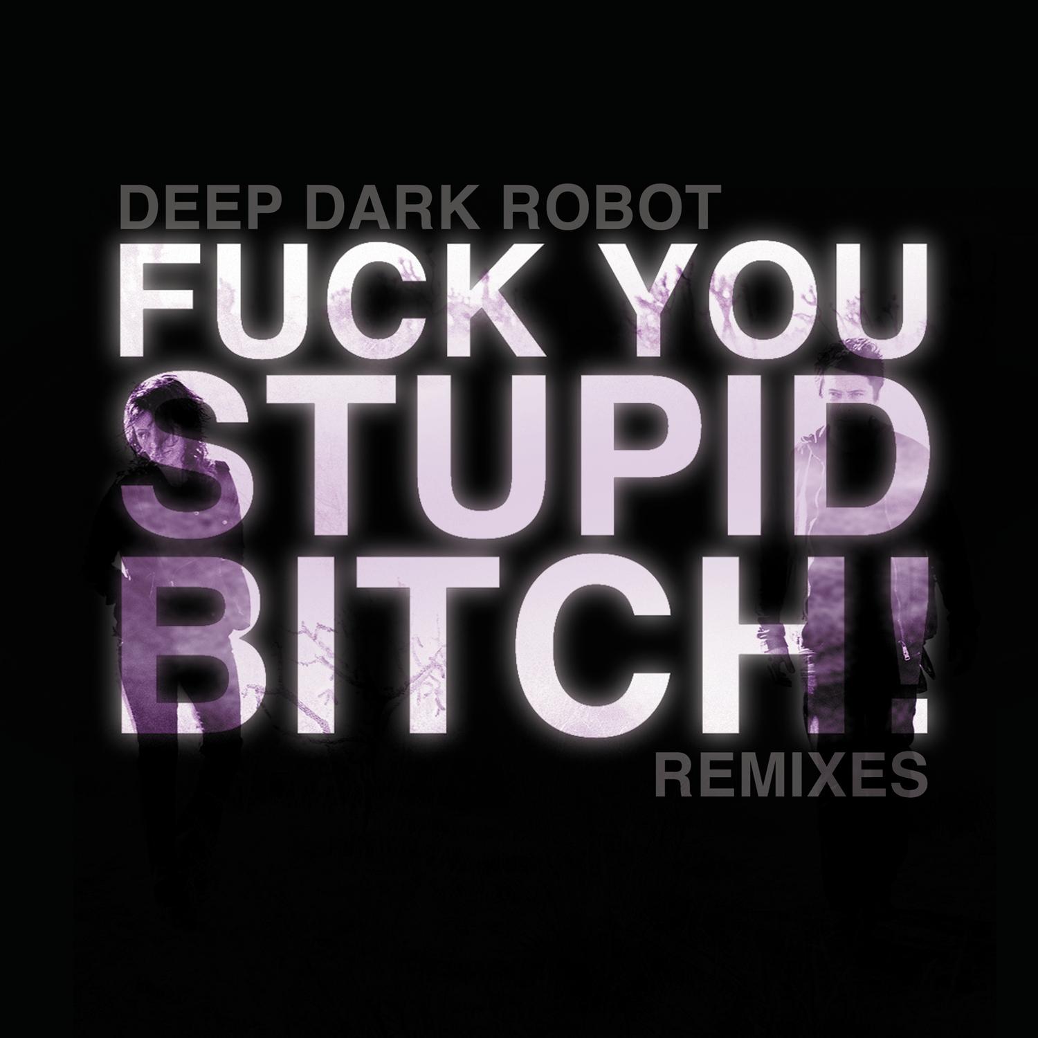 **** You, Stupid ***** (Remixes)