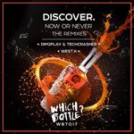 Now Or Never (Dim2Play & Techcrasher Remix)