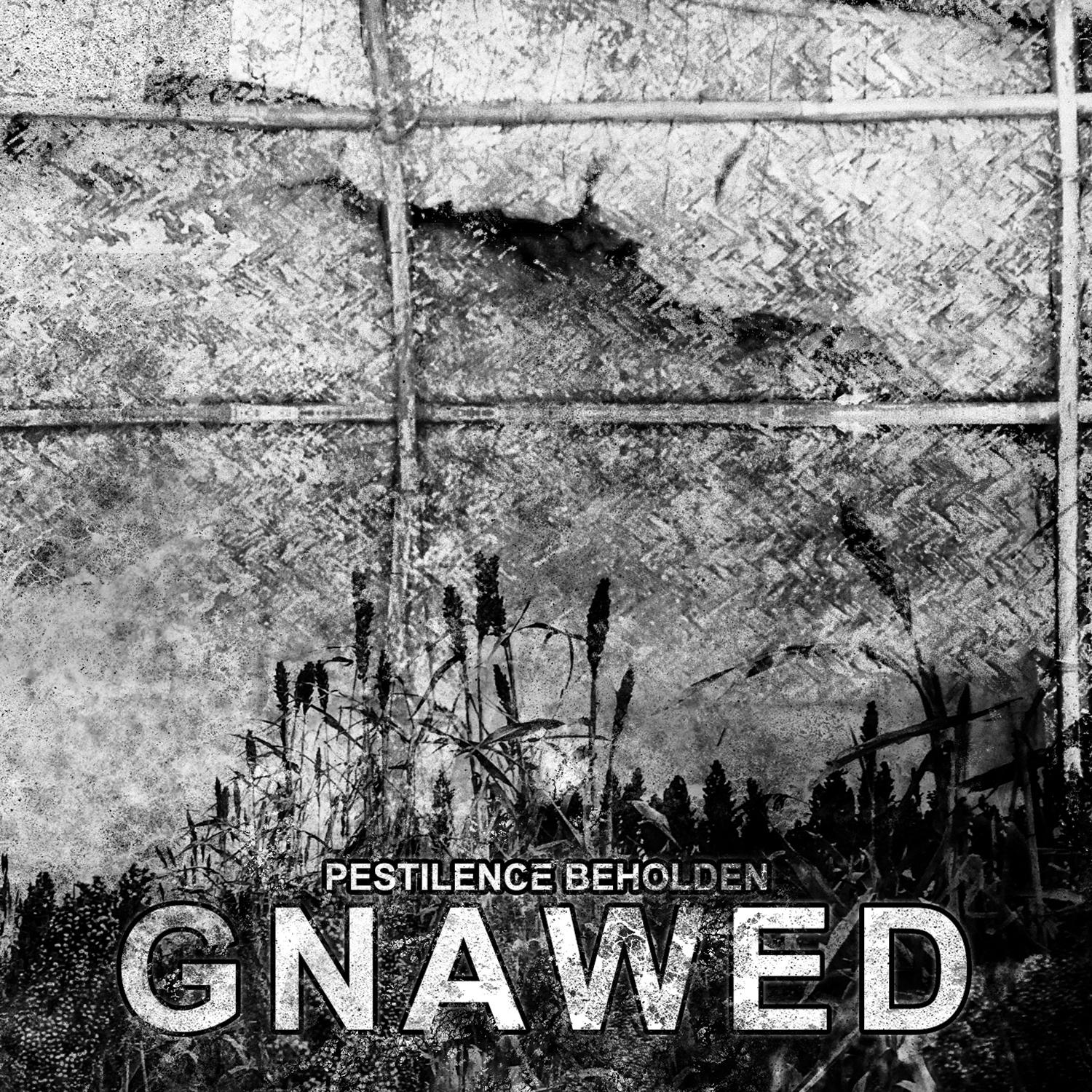 Gnawed - Who Shall Reap?