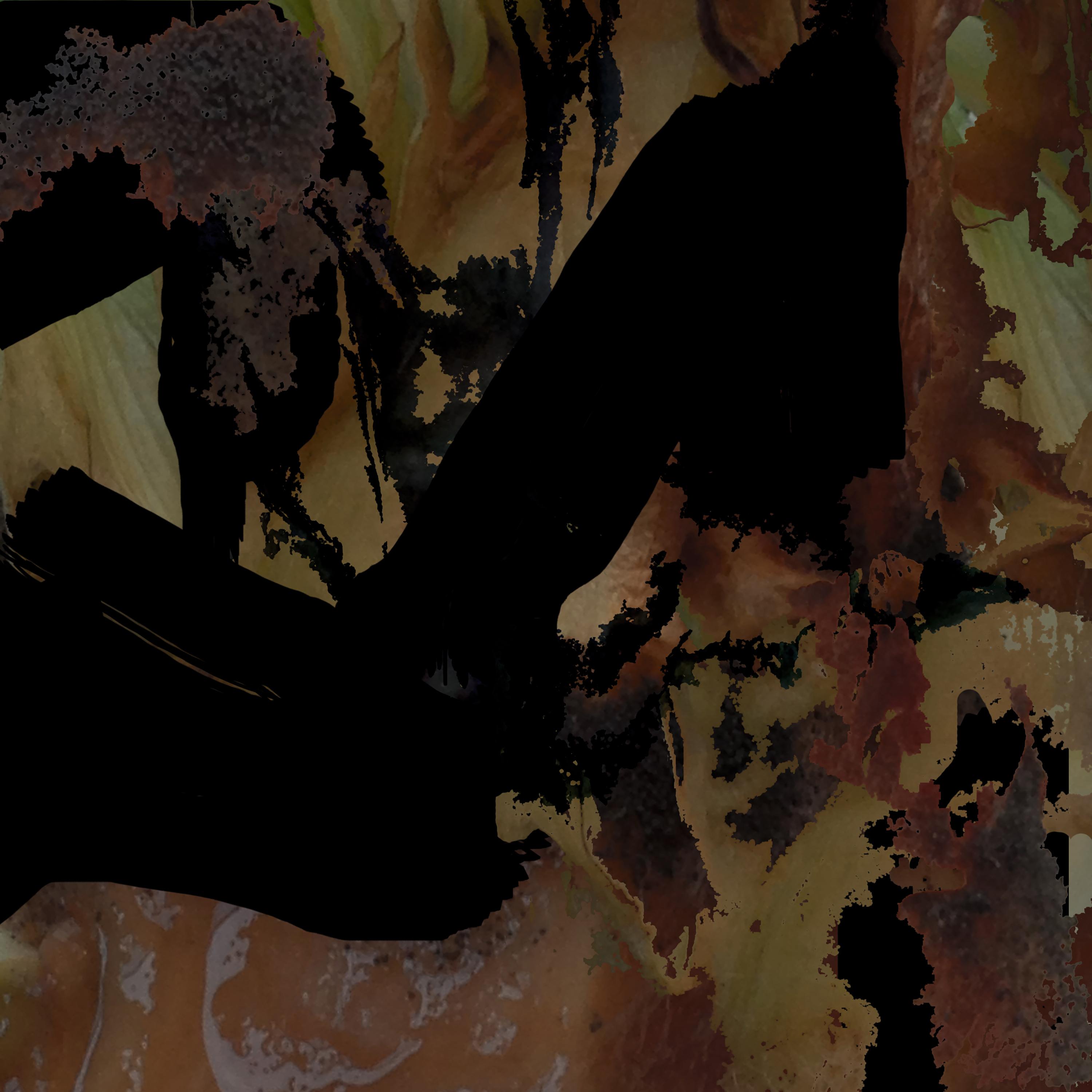 Cycles & Decay