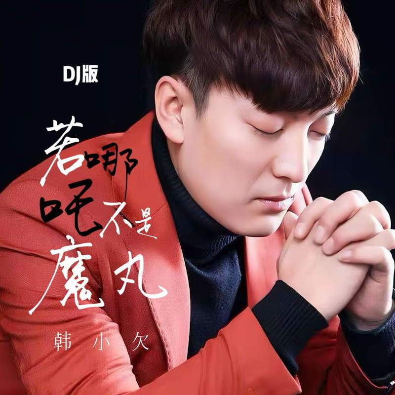 若哪吒不是魔丸 (DJ版)