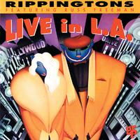 The Rippingtons - Tourist In Paradise (unofficial Instrumental)