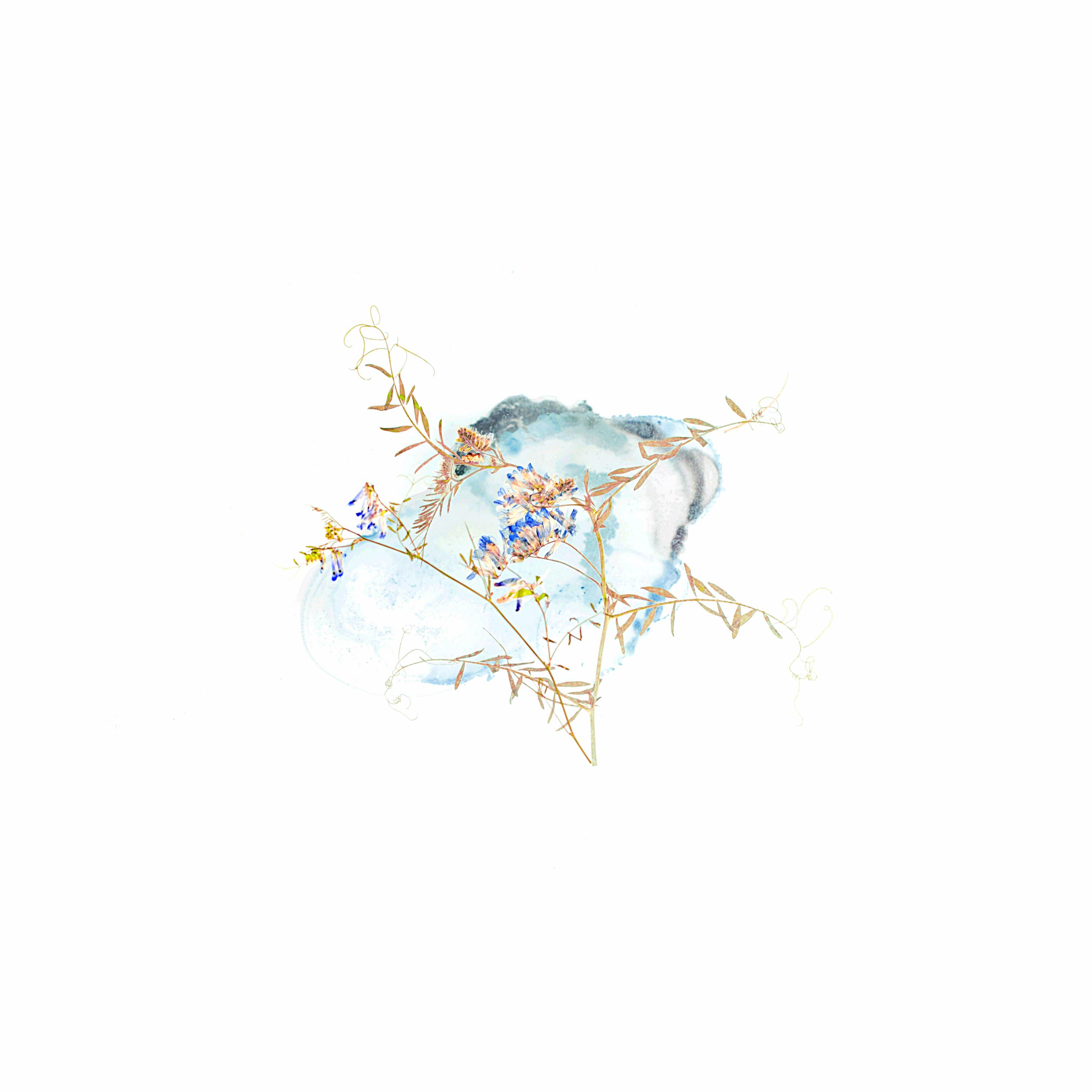 New Life