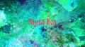Night Ray