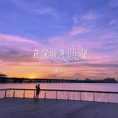 在深圳湾眺望 (伴奏)