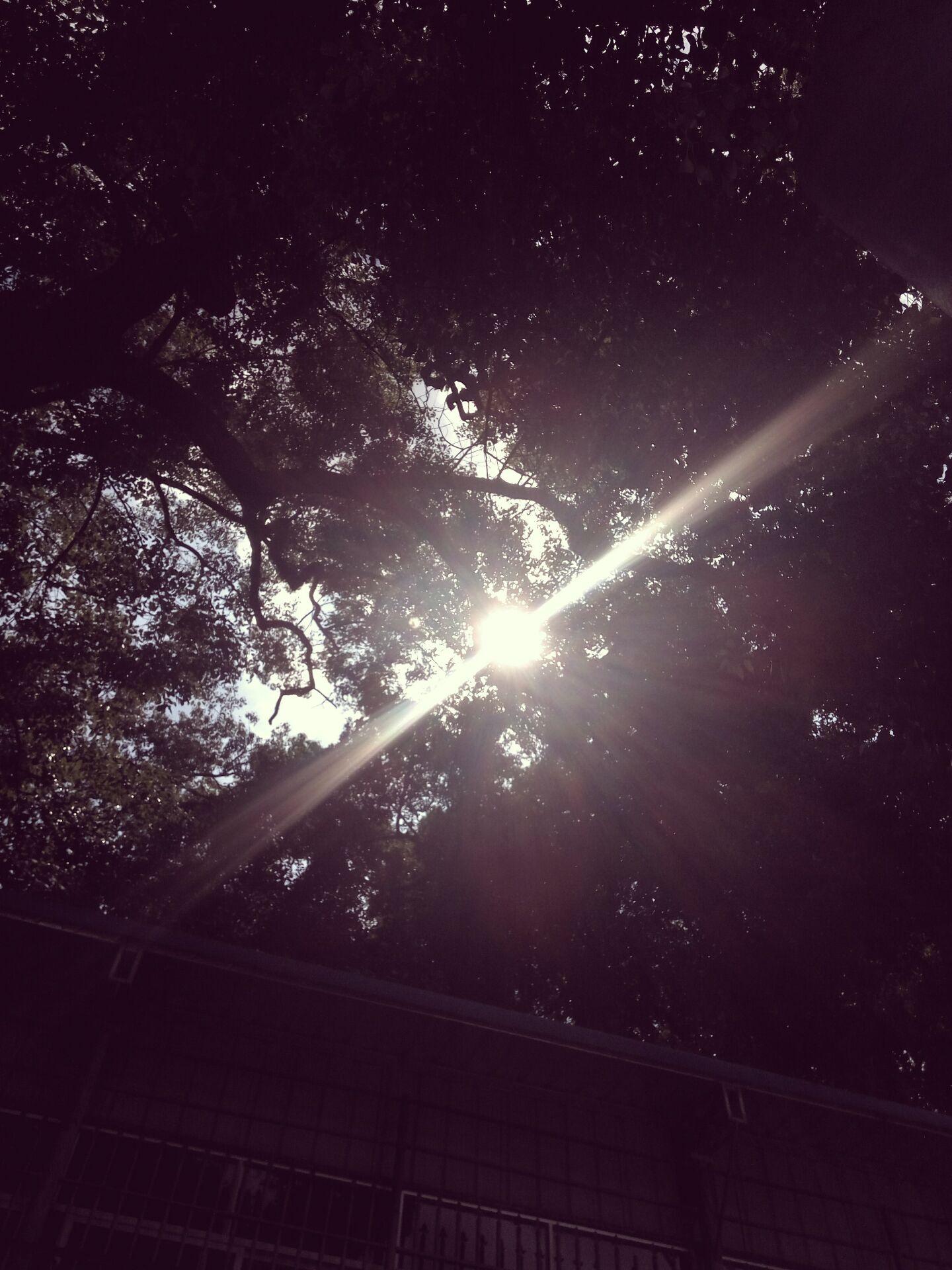 【3D】We Don't Talk Anymore