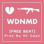 [Free Rap Beat] WDNMD专辑