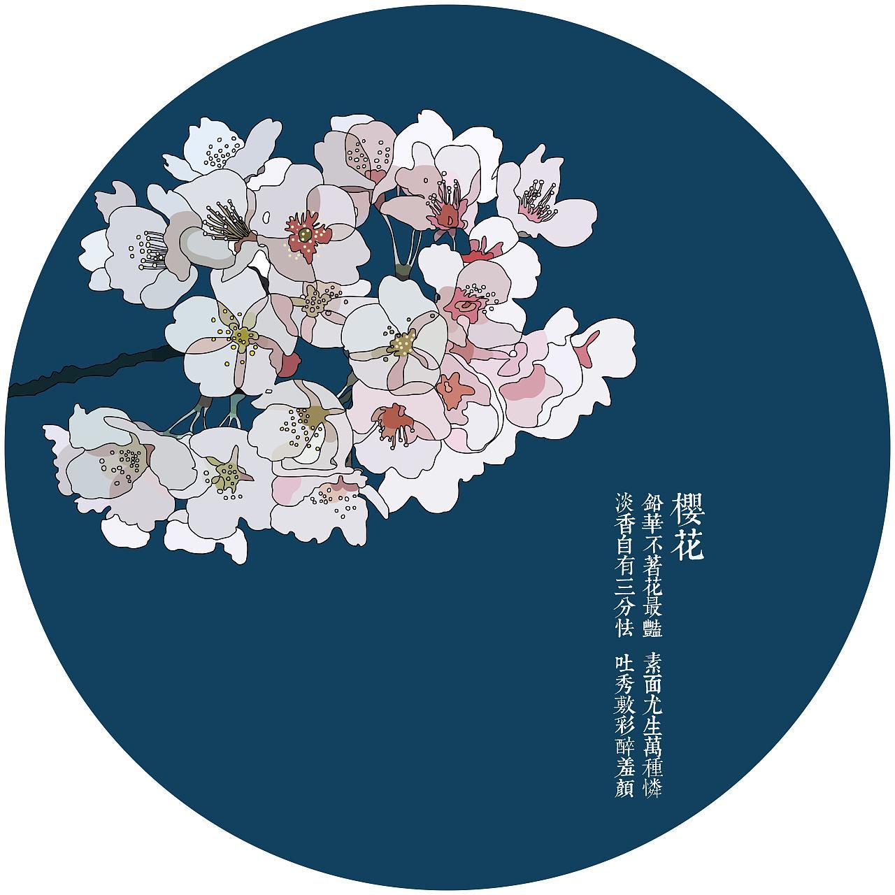 樱花樱花想见你(cover:rsp) - 人类は衰退しました·それでも世界は美