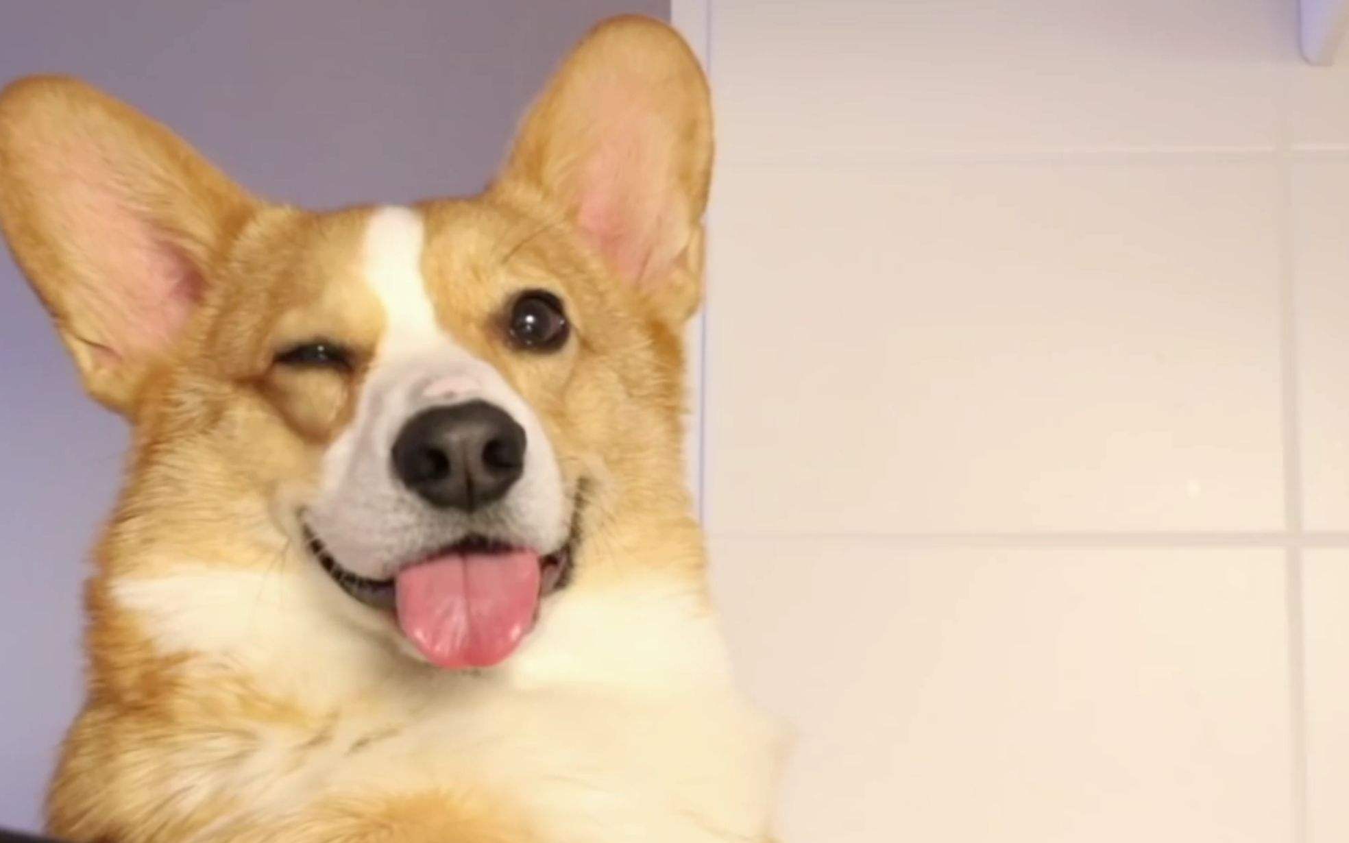 世界上的另一个我