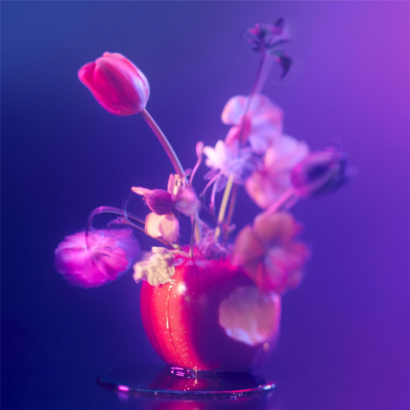 ラストシーン