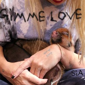 Sia - Gimme Love （降8半音）