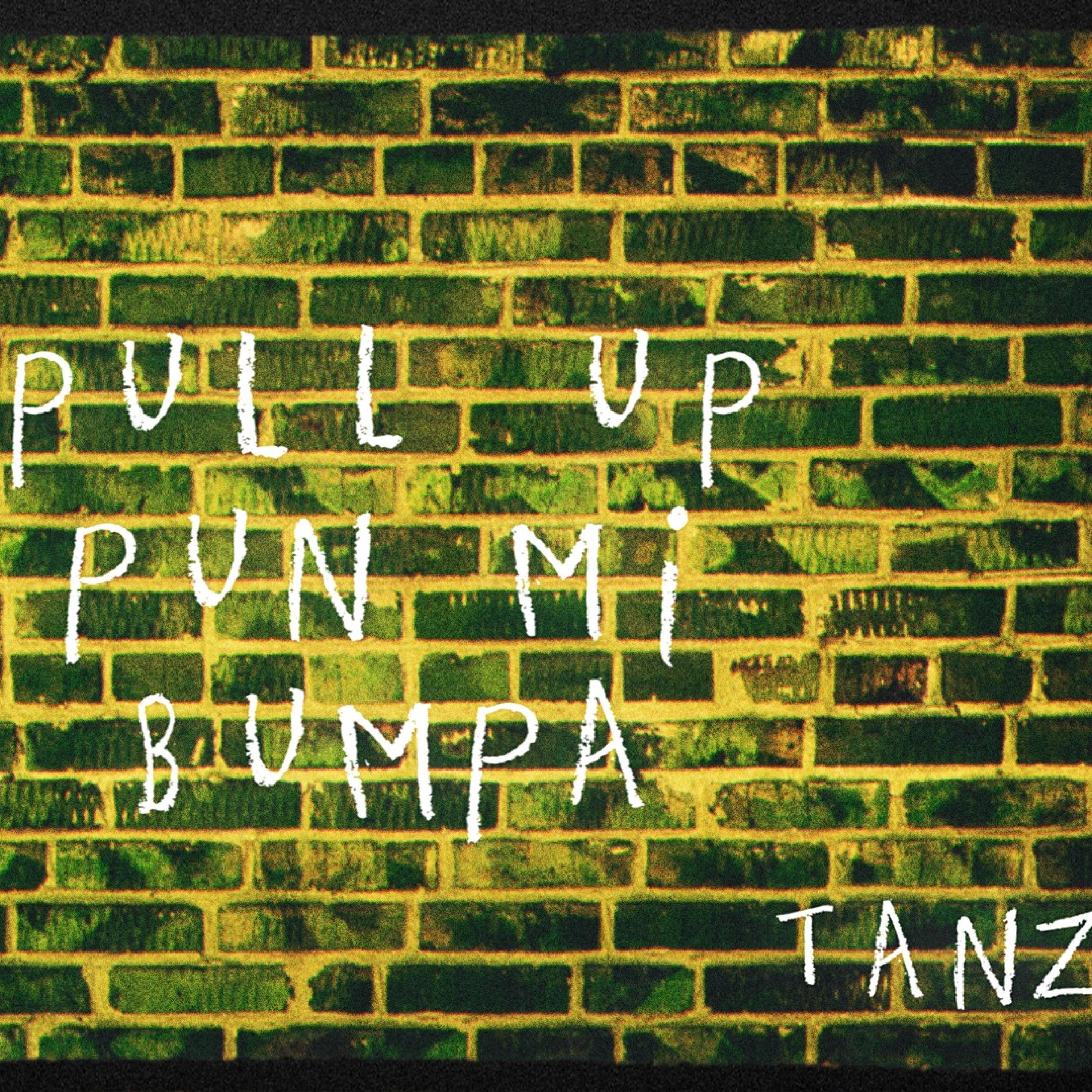 Tanz - PULL UP PUN MI BUMPA