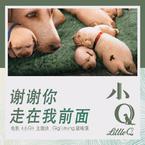 专辑《谢谢你走在我前面》