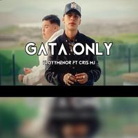 Floyymenor Ft Cris Mj - Gata Only (Dj Copilott Edit) (Dirty) 115