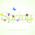 Spring专辑