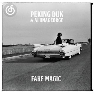 深邃新迪斯科精选|从《Fake Magic》听起