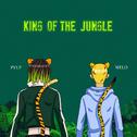 丛林之王 King of the Jungle (feat. Melo)专辑