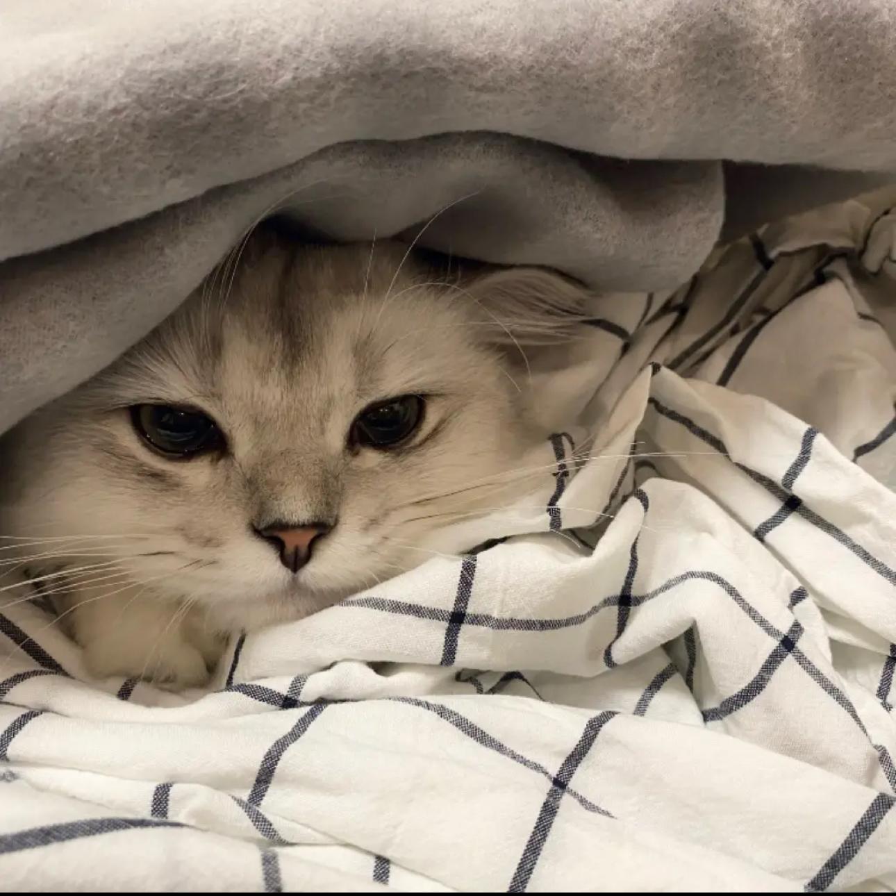 Tony Anderson-Apparition（基于假设 remix）