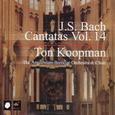 J.S. Bach: Cantatas Vol. 14