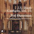 J.S. Bach: Cantatas Vol. 14