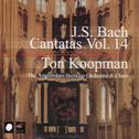 J.S. Bach: Cantatas Vol. 14专辑